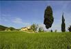 Country House Sant'Angiolino